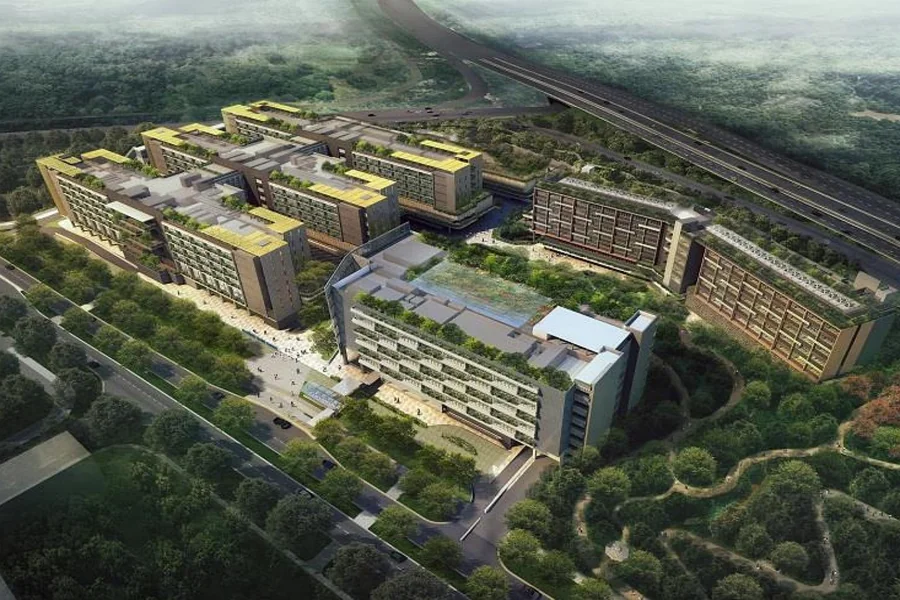 Woodlands