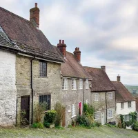 Dorset Gardens Fills a Four-Year Gap After the Northumberland Road Plot